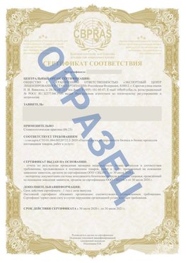Образец Сертификат СТО 01.064.00220722.2-2020 Мариинск Сертификат СТО 01.064.00220722.2-2020 